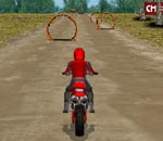 Онлайн игра Dirt Bike Racing.